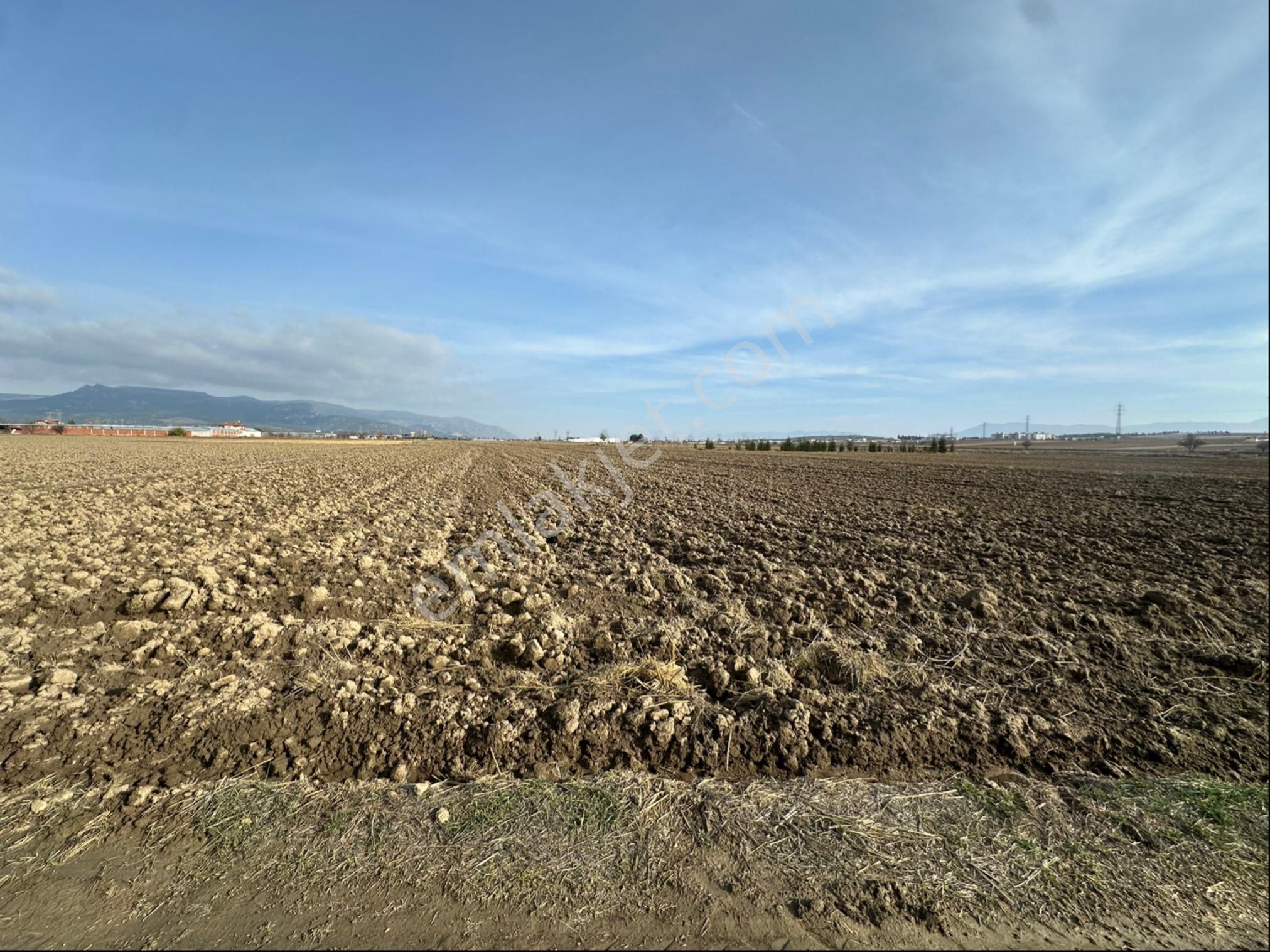 Şengül Gayrimenkul'den Bozkurtta 14,928m2 Sulak Düz Tarla - Görsel 5
