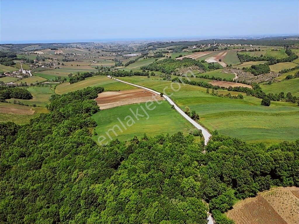 investment listing 13