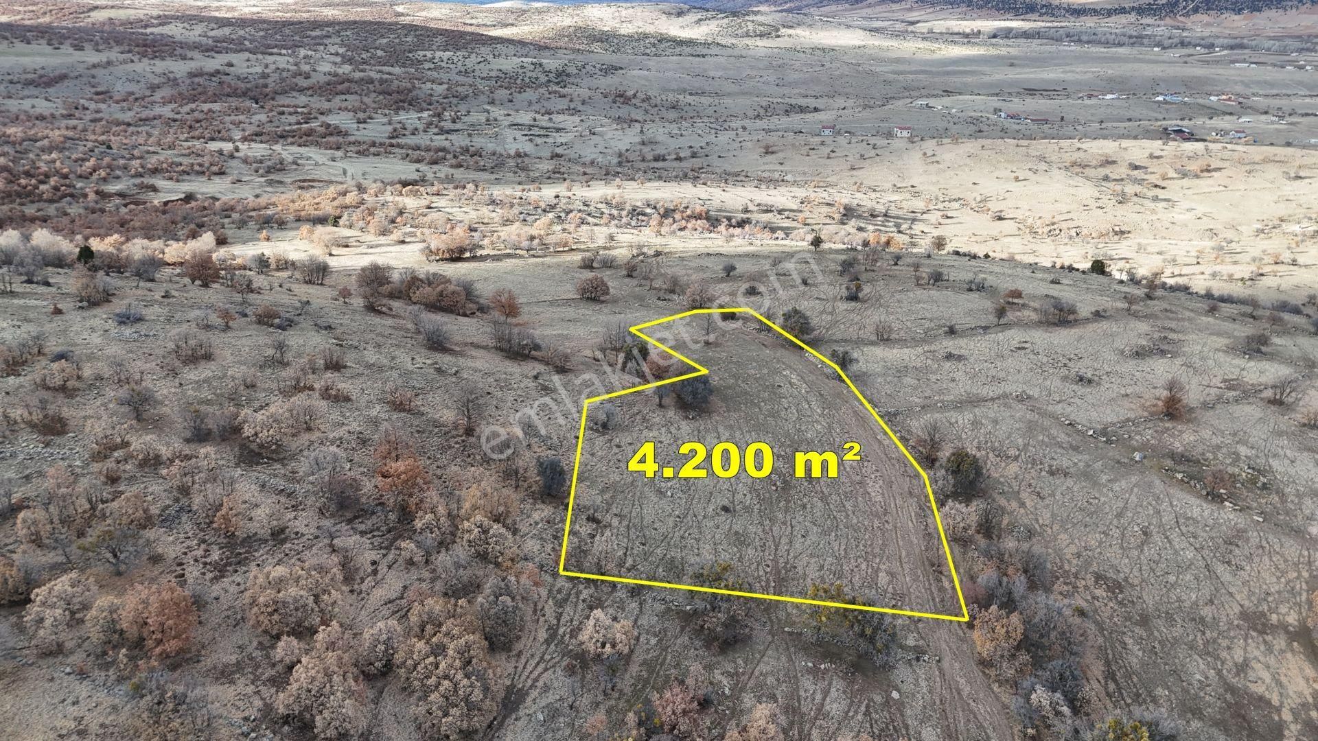 Konya / Meram / Sefaköy Harmancık Mahallesinde 4.200 M² Müstakil Tapulu Tarla - Görsel 5