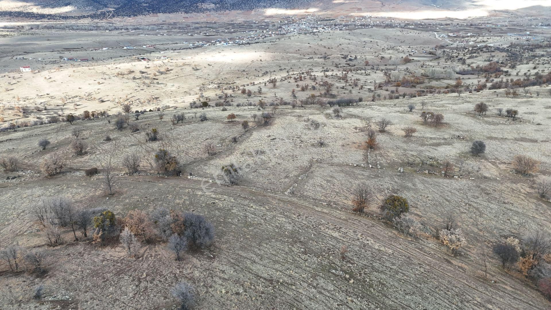 Konya / Meram / Sefaköy Harmancık Mahallesinde 4.200 M² Müstakil Tapulu Tarla