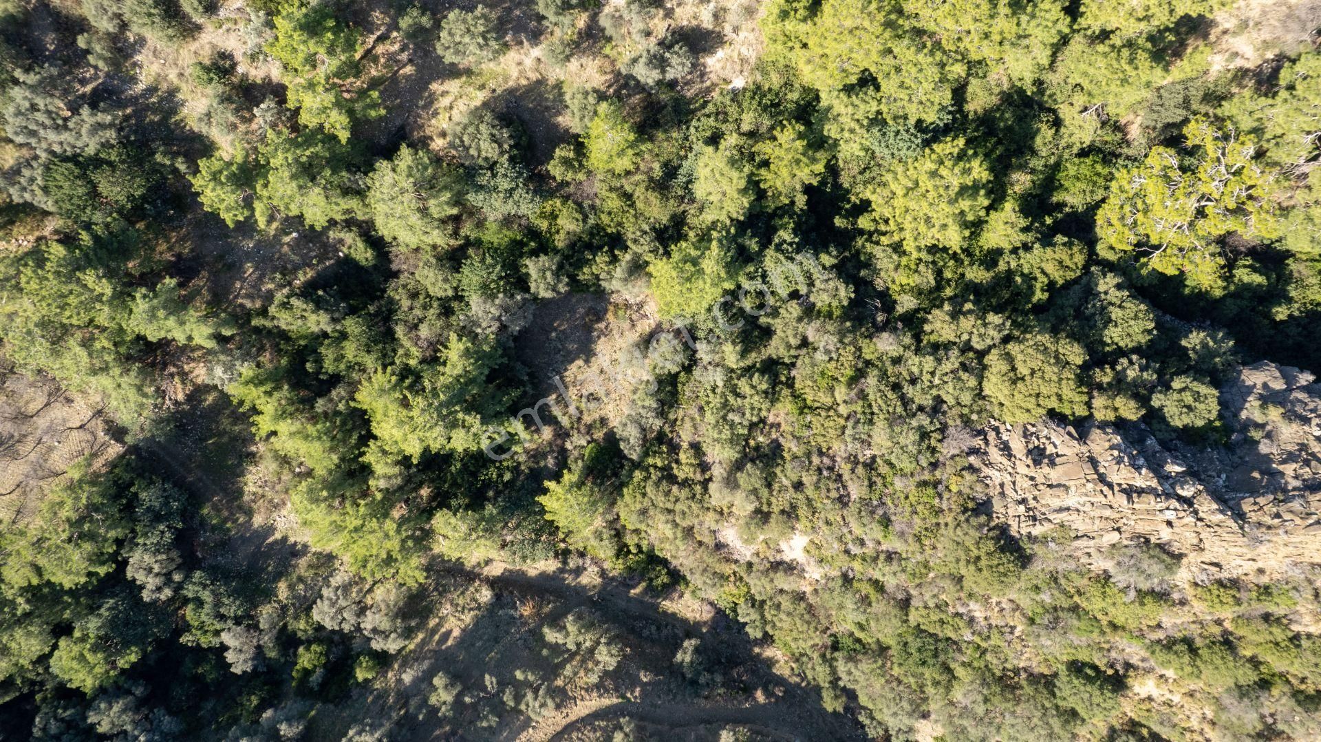 Datça Mesudiye'de Satılık 501m² Yatırım Değeri Yüksek Tarla - Görsel 7