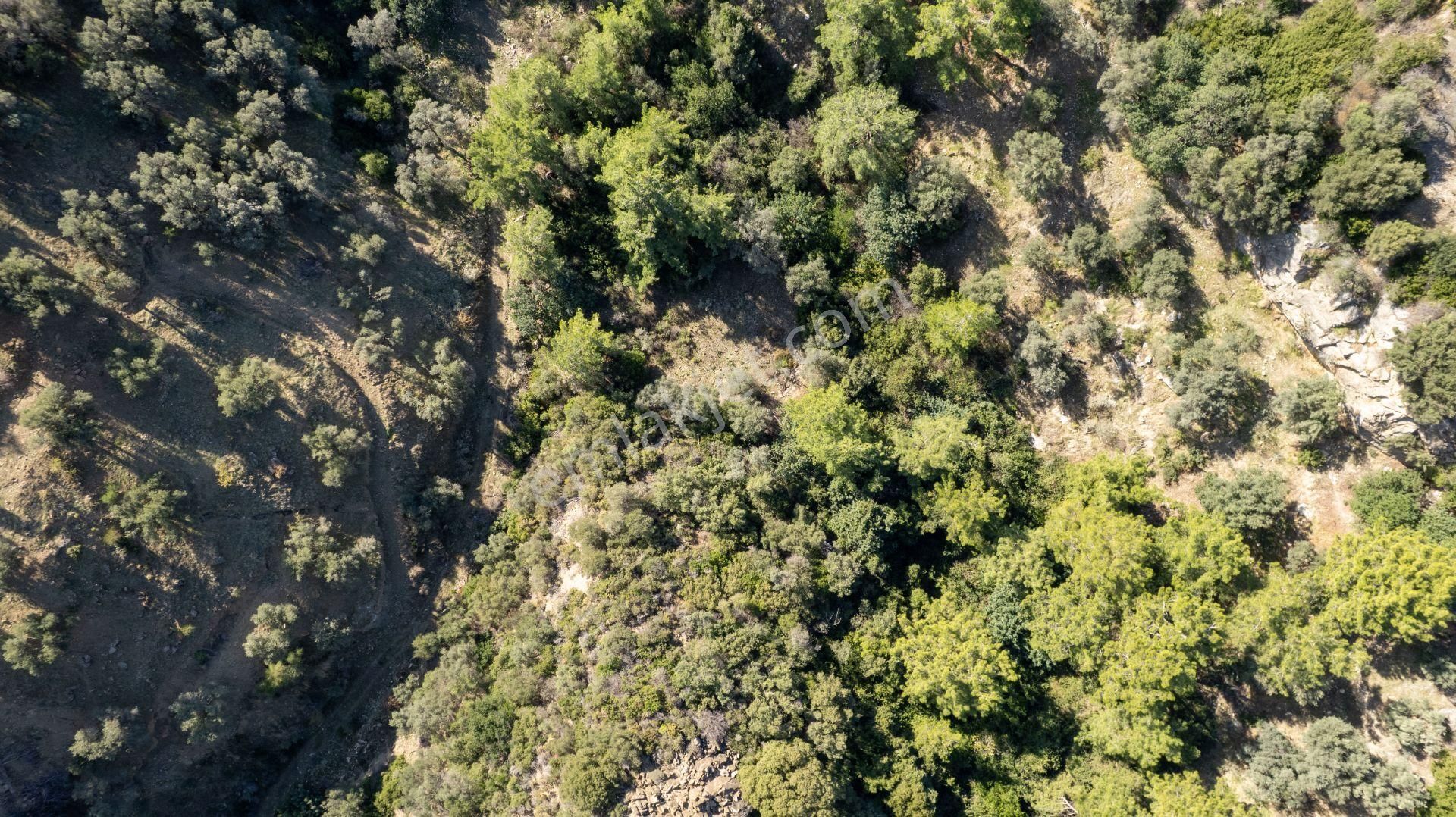 Datça Mesudiye'de Satılık 501m² Yatırım Değeri Yüksek Tarla - Görsel 9