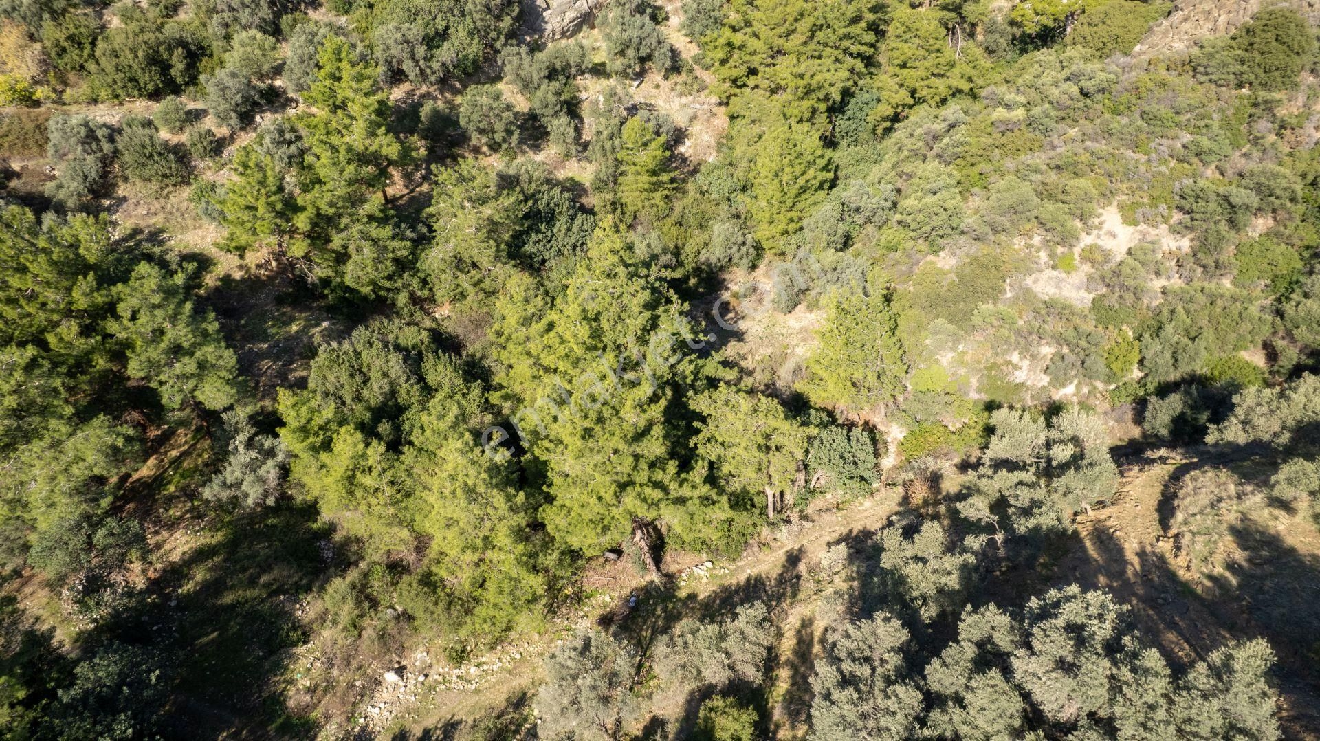 Datça Mesudiye'de Satılık 501m² Yatırım Değeri Yüksek Tarla - Görsel 15