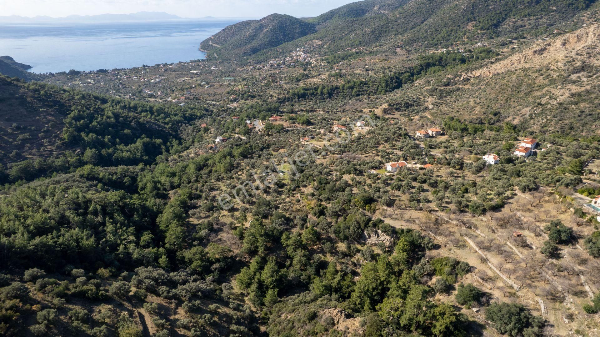 Datça Mesudiye'de Satılık 501m² Yatırım Değeri Yüksek Tarla - Görsel 2