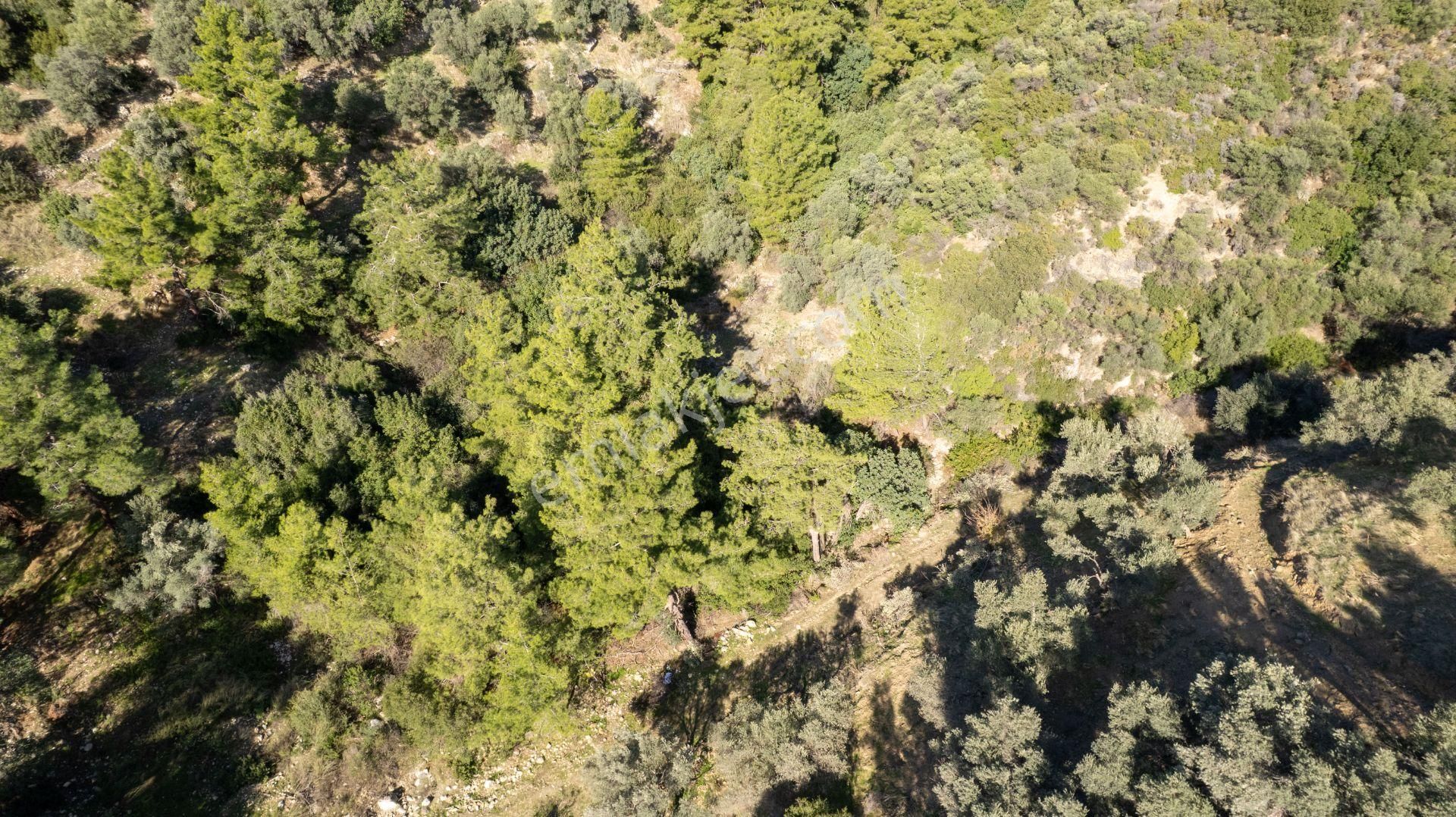 Datça Mesudiye'de Satılık 501m² Yatırım Değeri Yüksek Tarla - Görsel 13