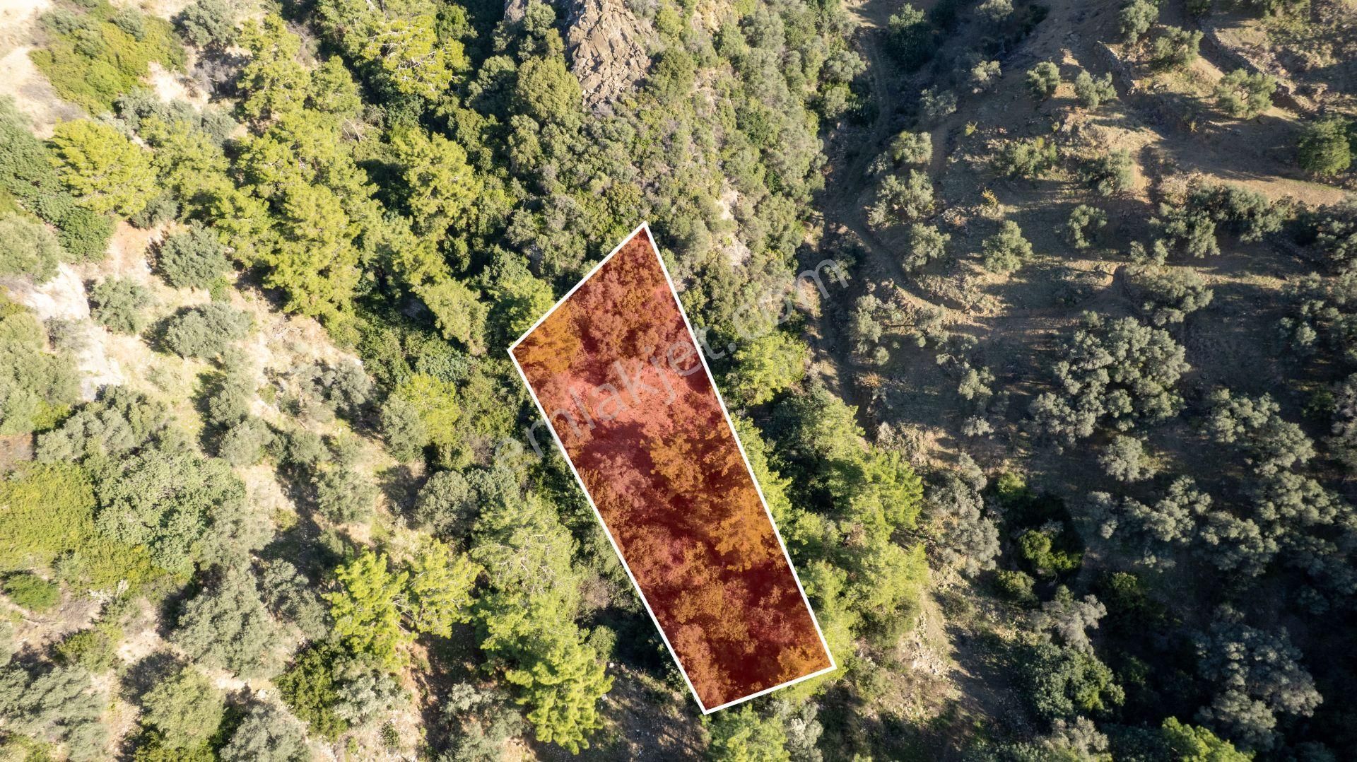 Datça Mesudiye'de Satılık 501m² Yatırım Değeri Yüksek Tarla - Görsel 29