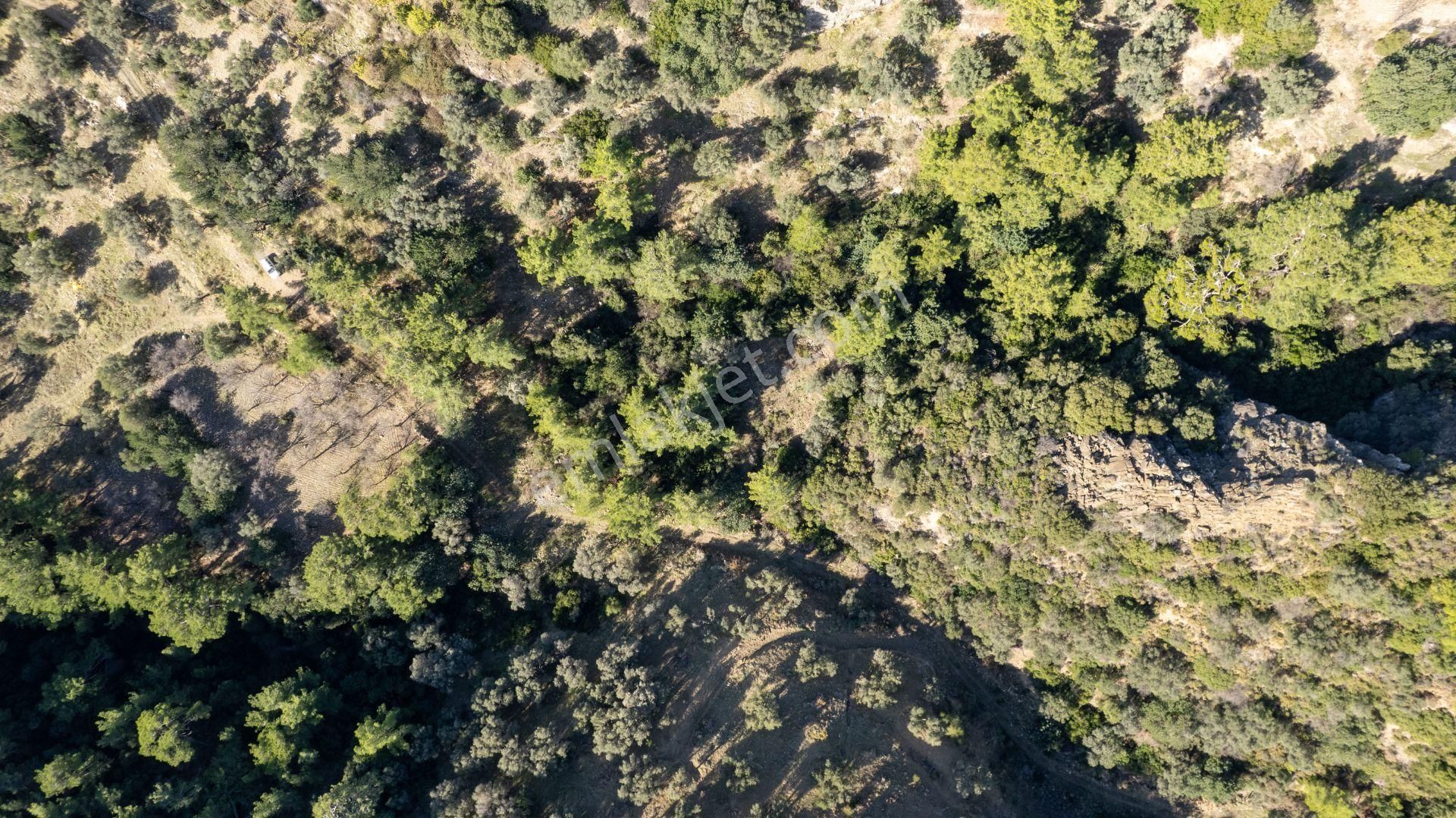 Datça Mesudiye'de Satılık 501m² Yatırım Değeri Yüksek Tarla - Görsel 16
