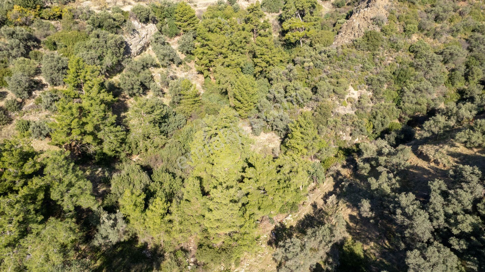 Datça Mesudiye'de Satılık 501m² Yatırım Değeri Yüksek Tarla - Görsel 12