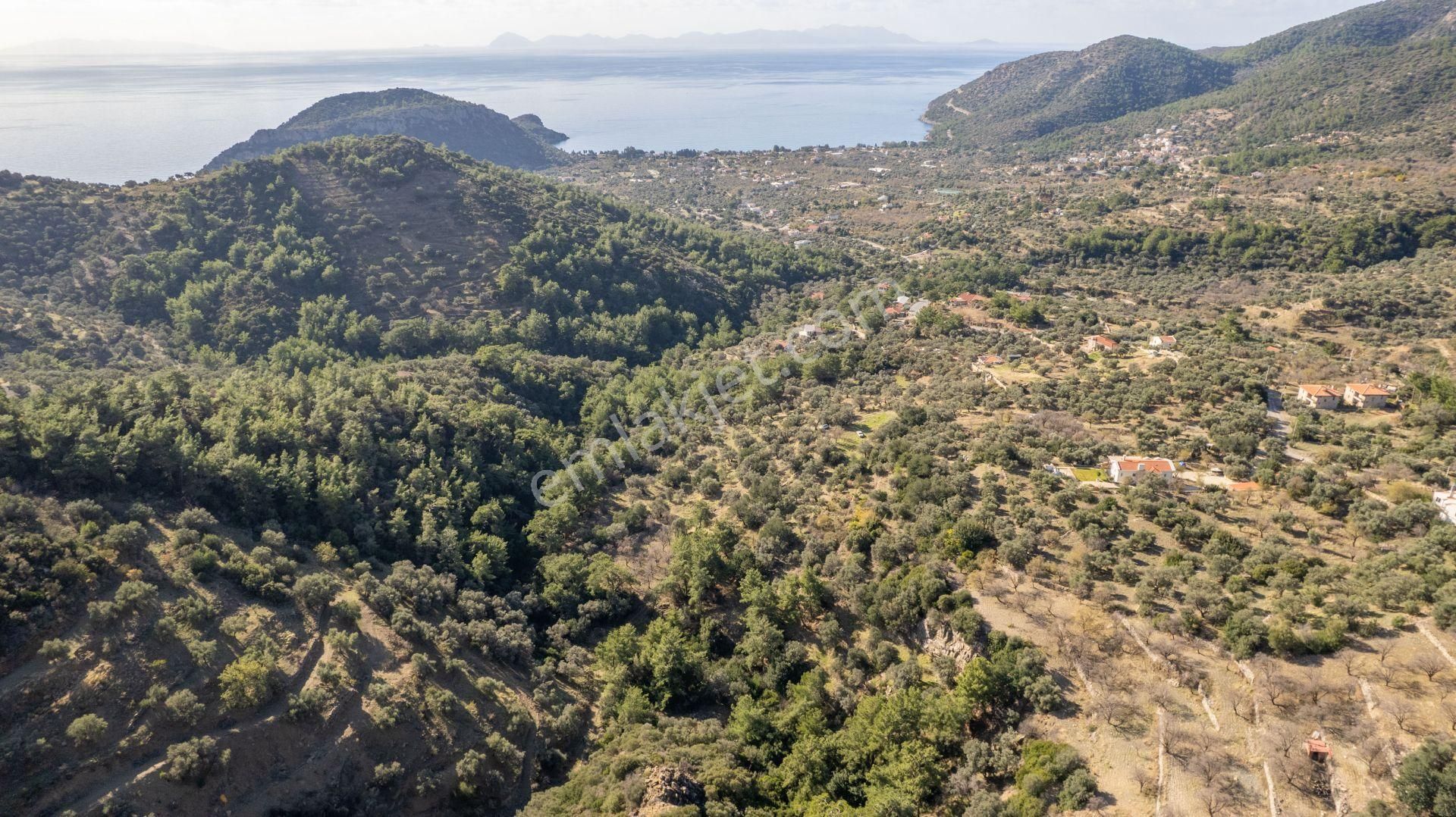Datça Mesudiye'de Satılık 501m² Yatırım Değeri Yüksek Tarla