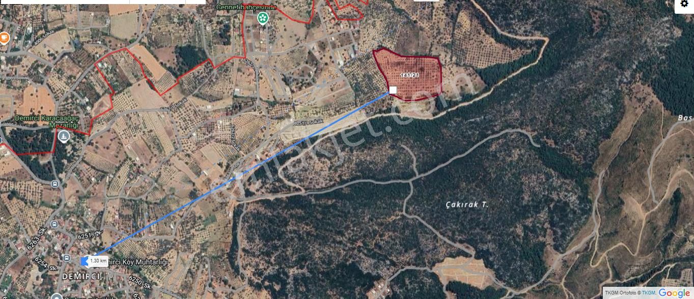 Torbalı Demirciköy De 6,702m2 Zeytinli Tarla - Görsel 4