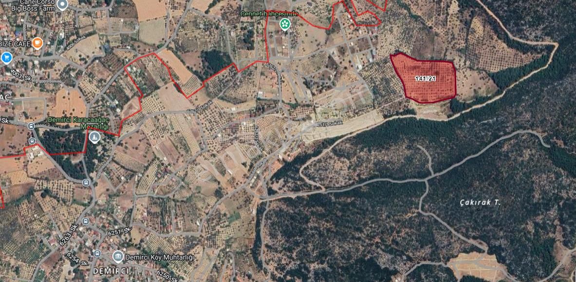 Torbalı Demirciköy De 6,702m2 Zeytinli Tarla - Görsel 5