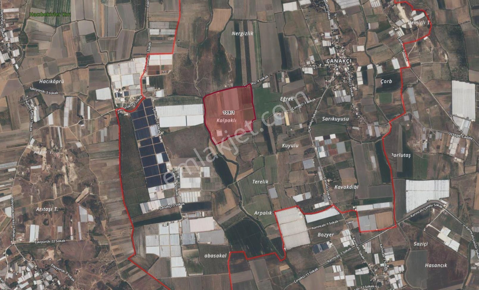 12300 M2 Satılık Tarla | Verimli Nar Bahçesi