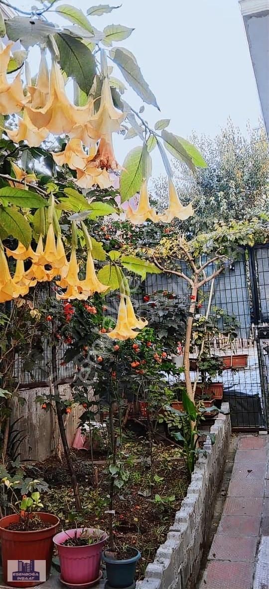 Bahçeli Bahçe Katı 2+1 Daire - Görsel 16