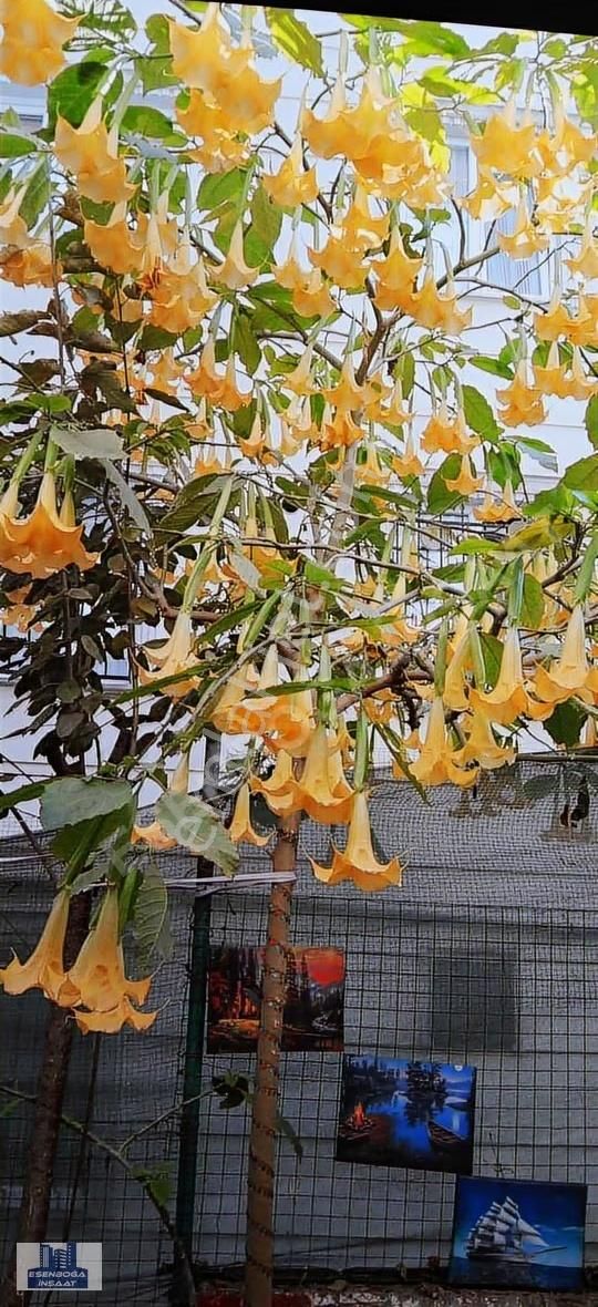 Bahçeli Bahçe Katı 2+1 Daire - Görsel 14