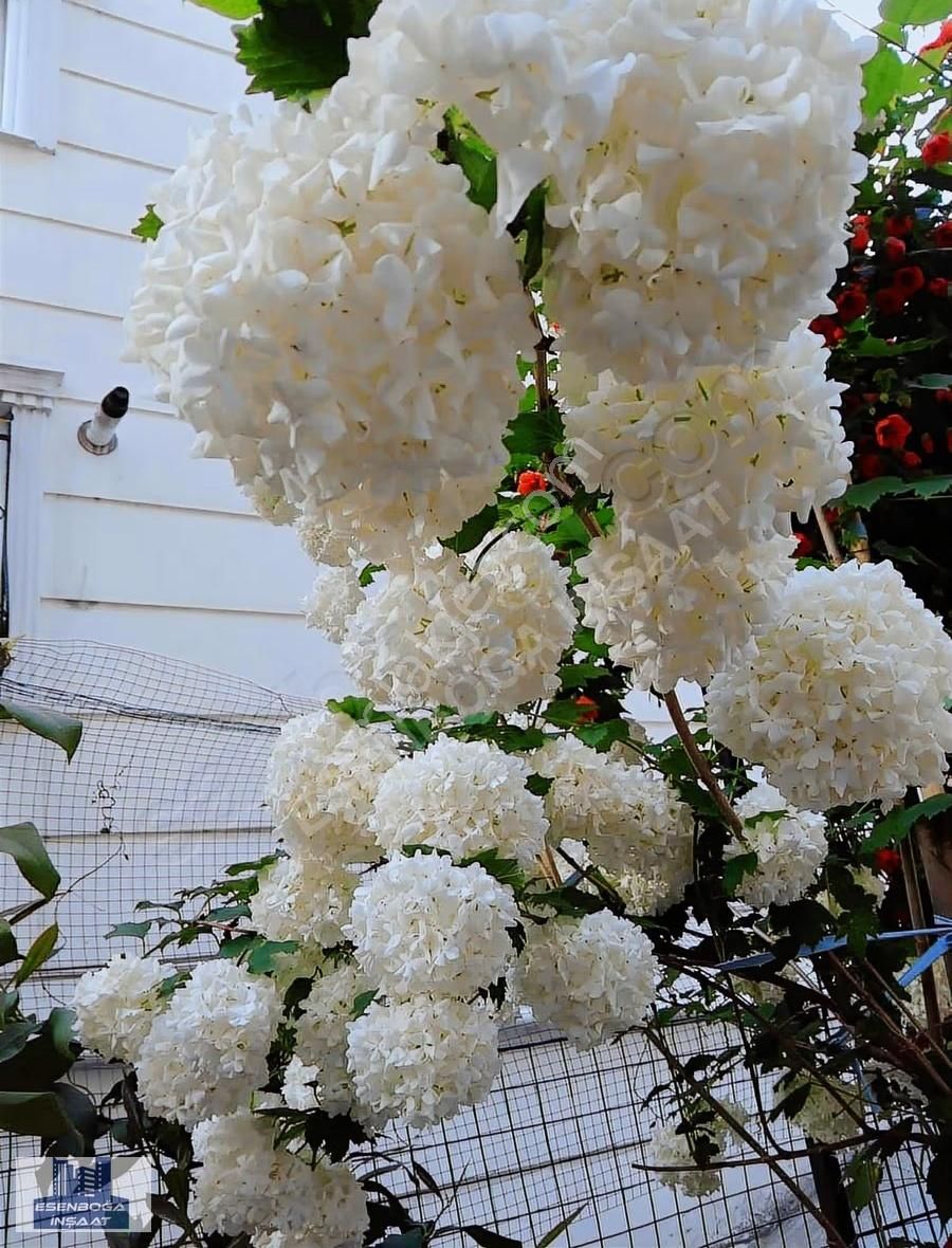 Bahçeli Bahçe Katı 2+1 Daire - Görsel 12