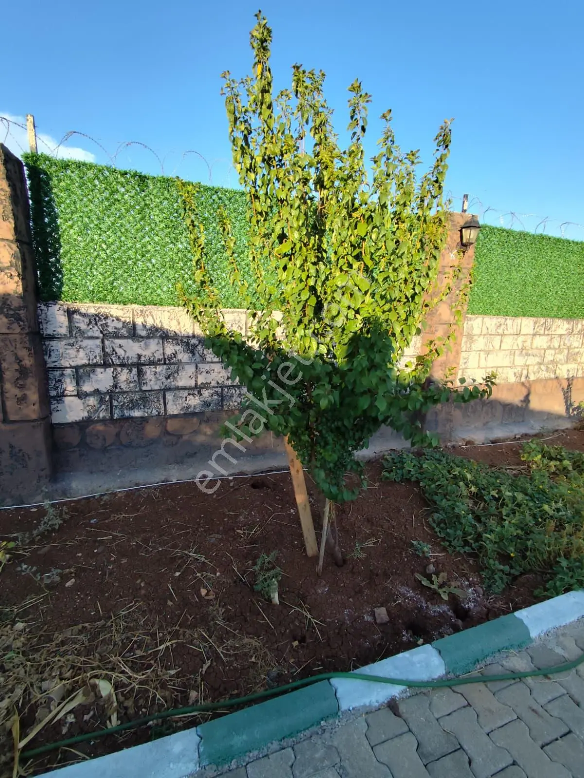 Arif Emlaktan Satılık Şahinbey Kazıklıda Tek Tapu Bağ Evi - Görsel 16