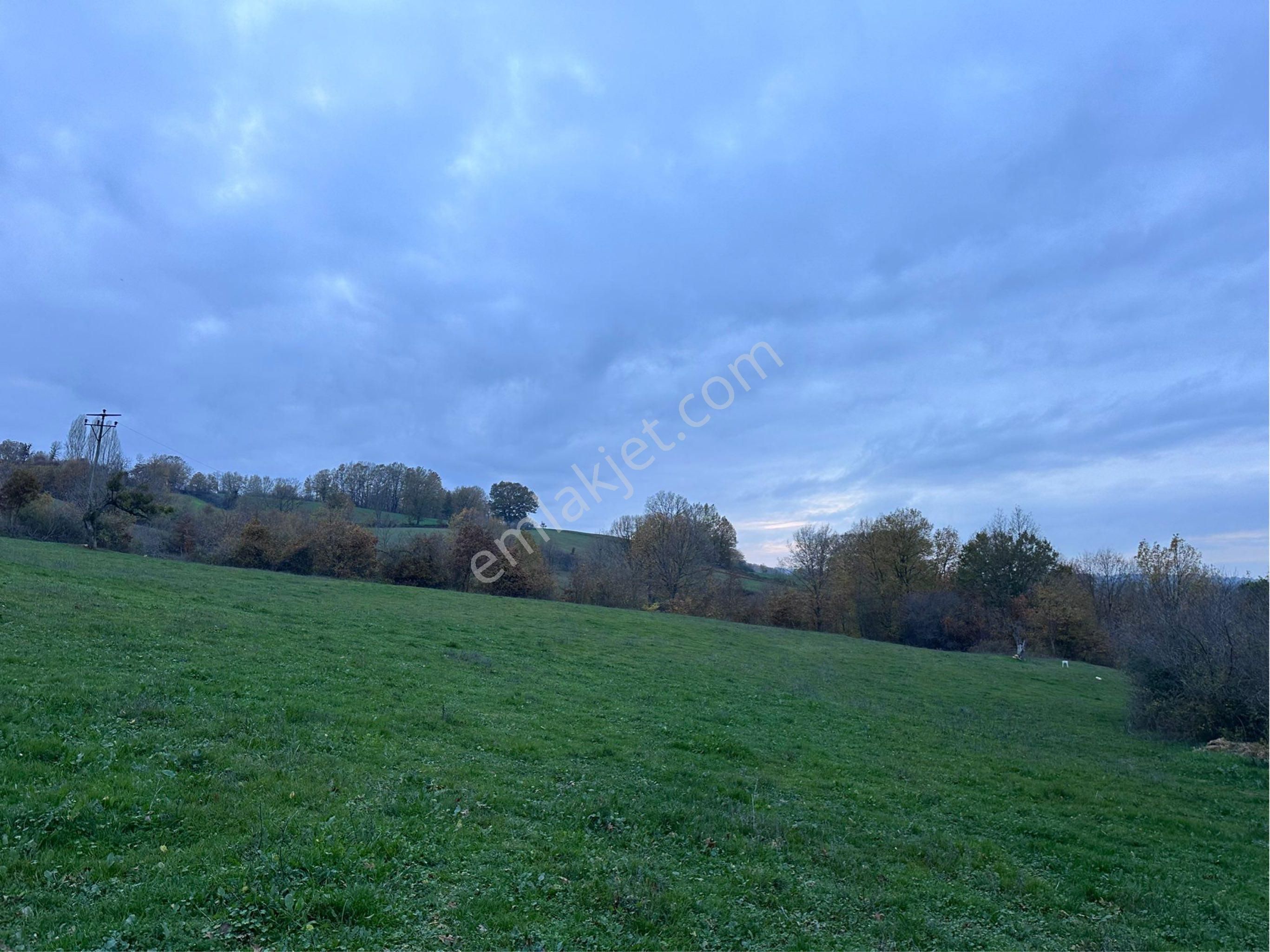 Rw Land Gayrimenkulden M.k.paşa Tümbüldek Köyünde Satılık Villa - Görsel 7