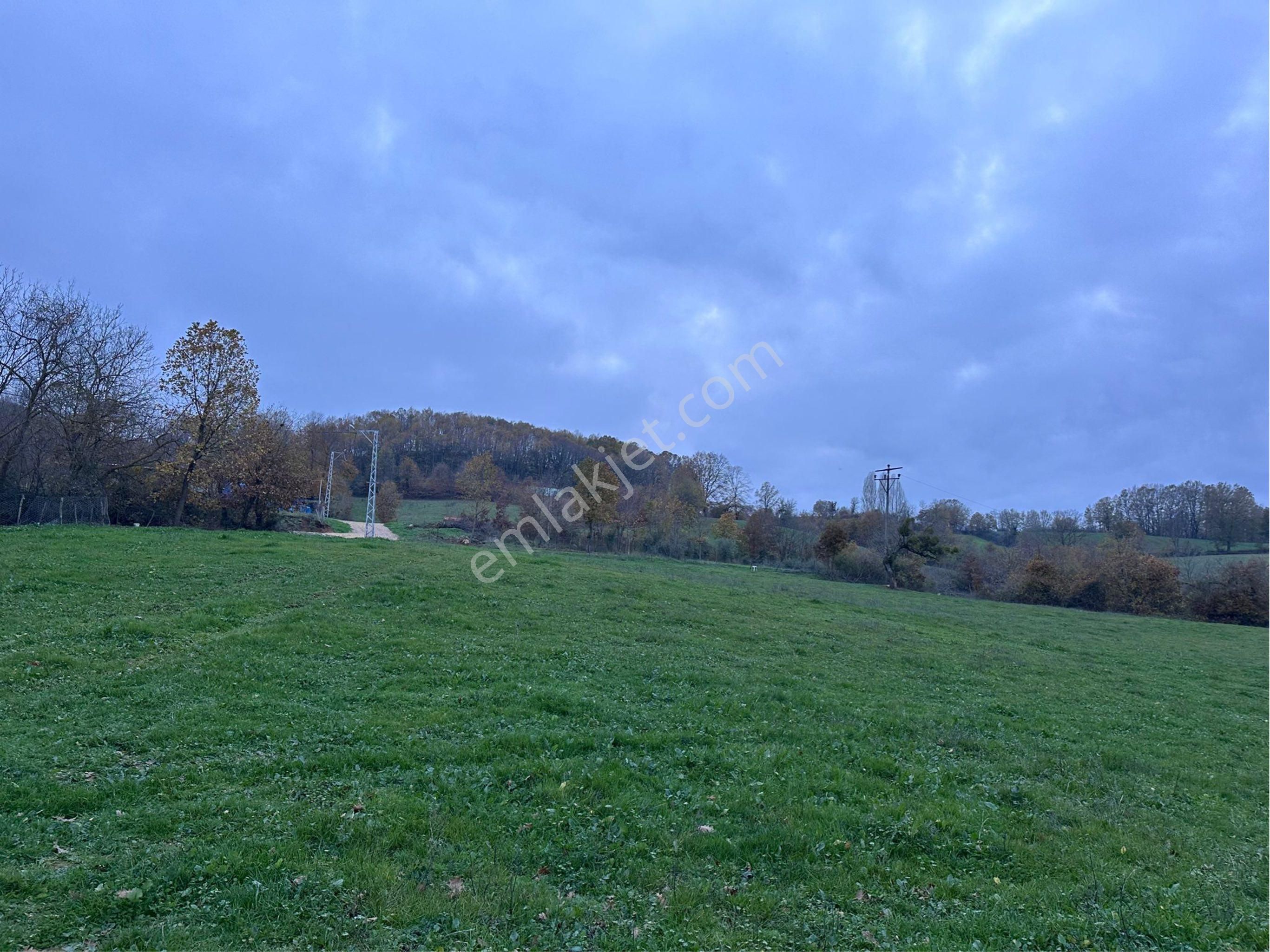 Rw Land Gayrimenkulden M.k.paşa Tümbüldek Köyünde Satılık Villa - Görsel 6