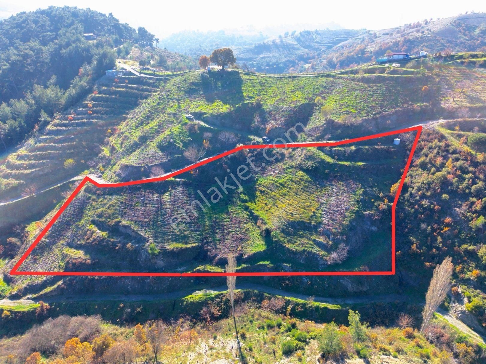 Karabağlar Kavacık Köyünde Bağ,bahçe - Görsel 3