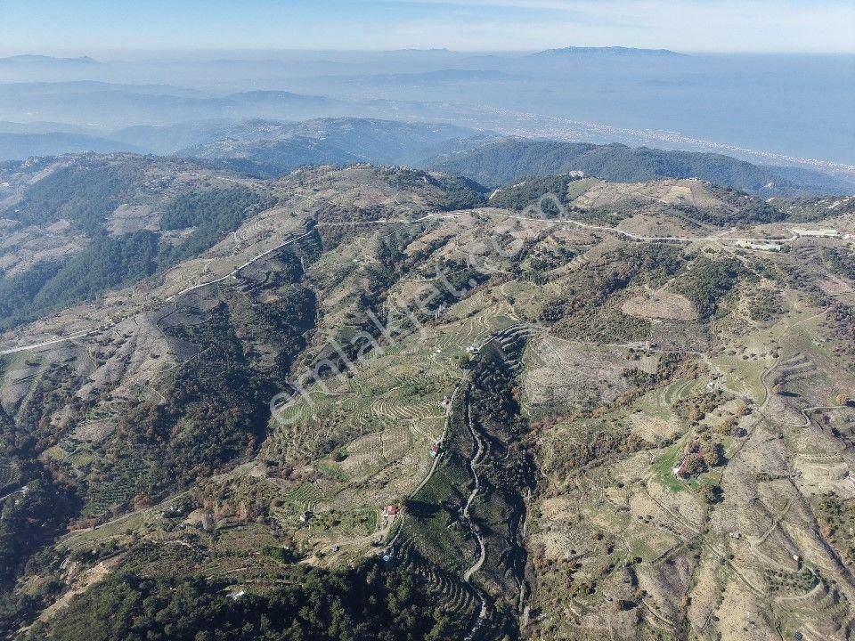 Karabağlar Kavacık Köyünde Bağ,bahçe - Görsel 16