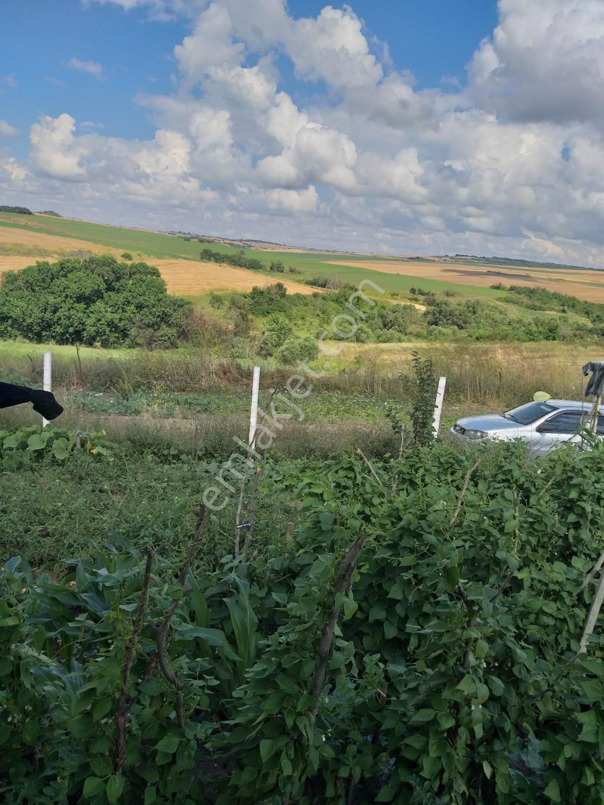 Silivri Akörende 383 M2 Hobi Bahçesi - Görsel 6