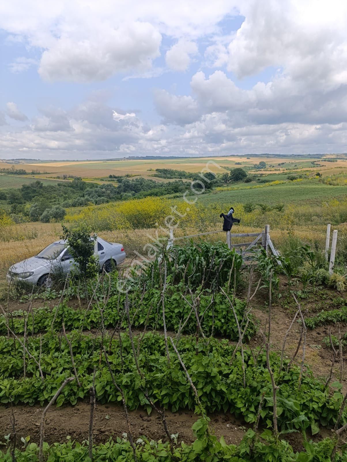 Silivri Akörende 383 M2 Hobi Bahçesi - Görsel 9