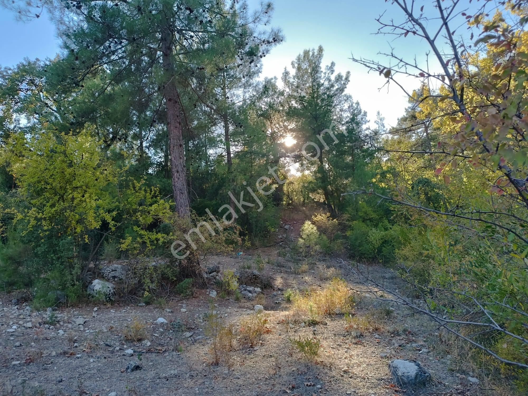 Arkadaş İnşaat Emlaktan Kumluca Karacaören Müstakil Tapu Tarla - Görsel 2