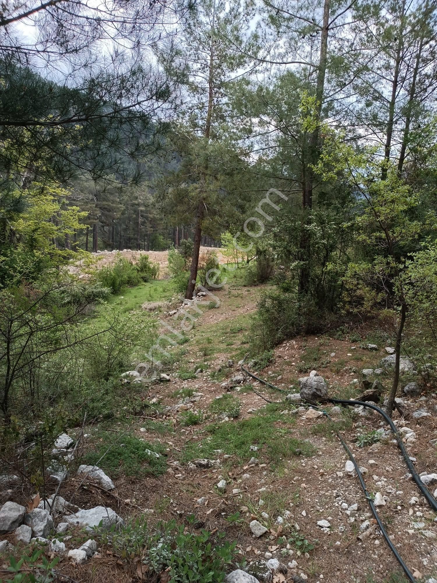 Arkadaş İnşaat Emlaktan Kumluca Karacaören Müstakil Tapu Tarla - Görsel 7