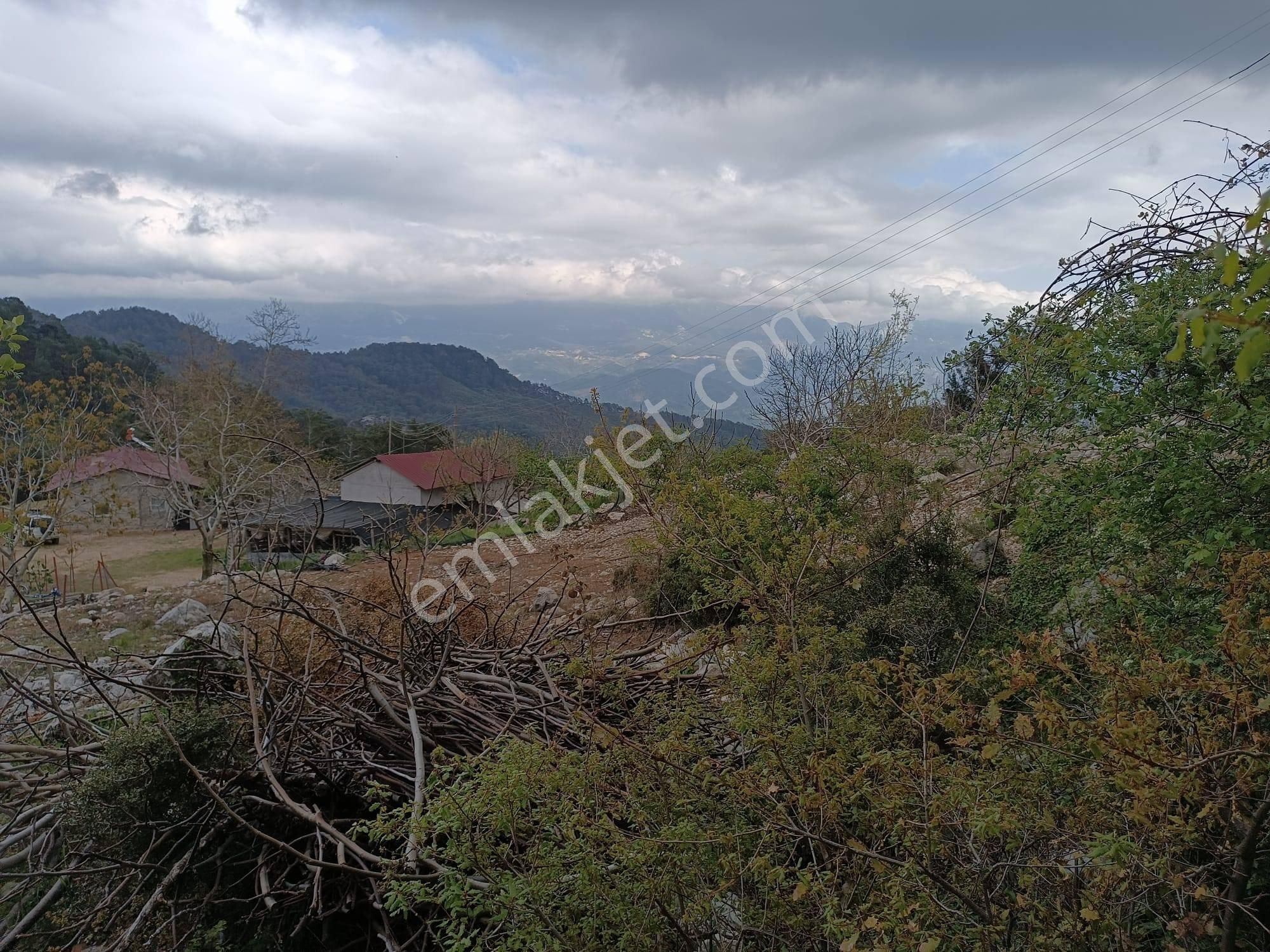 Arkadaş İnşaat Emlaktan Kumluca Karacaören Müstakil Tapu Tarla