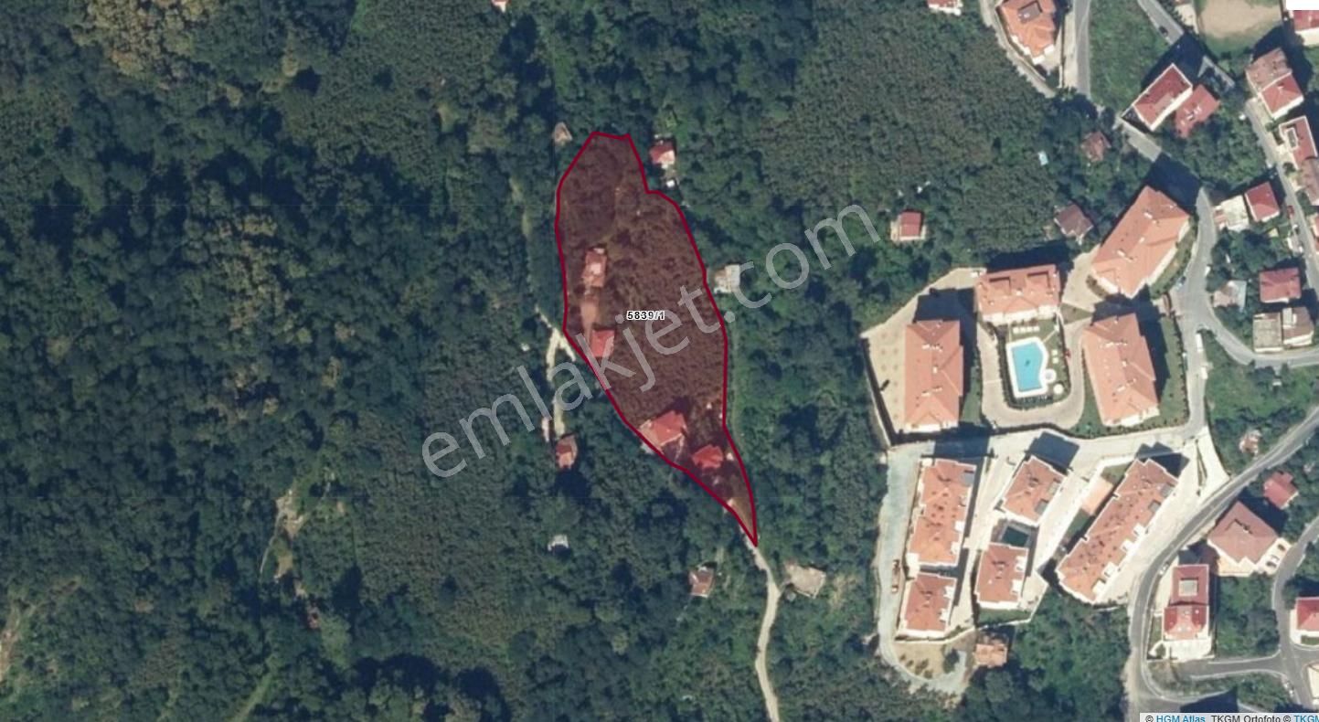 Güzelyalı Da Satılık Fırsat Özel İmara Açık Fındık Bahçesi