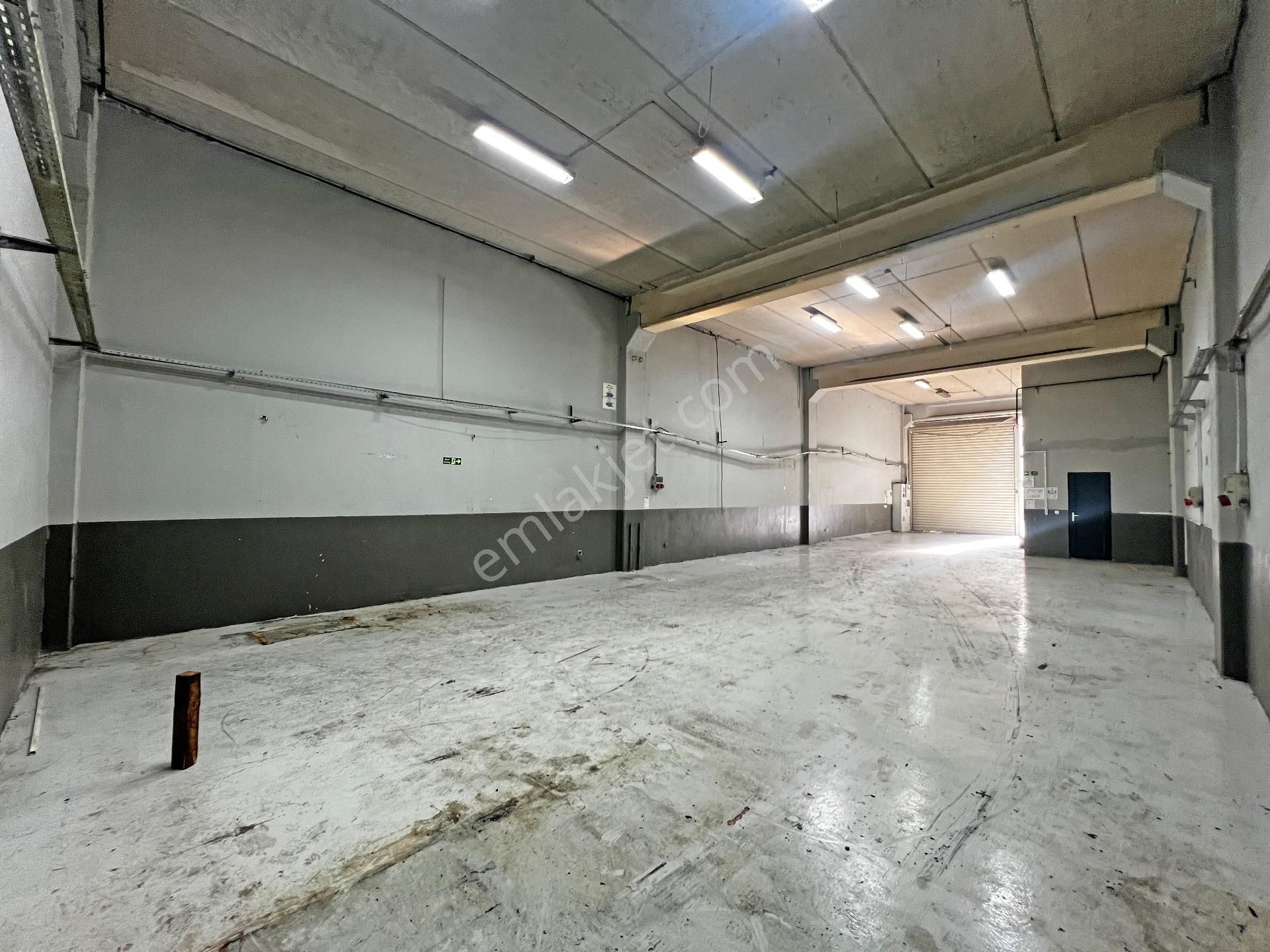 2464- Elfi Den Niltim Akva Kiralık 400 M² Atölye 100 Kwa Elektrik - Görsel 12