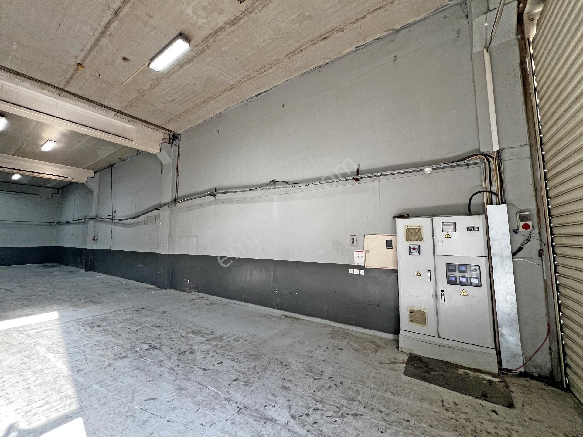 2464- Elfi Den Niltim Akva Kiralık 400 M² Atölye 100 Kwa Elektrik - Görsel 4