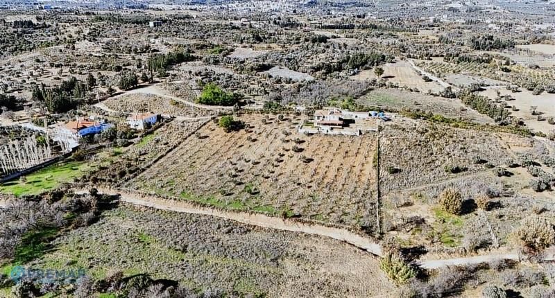 Premar Datça Merkez'e Çok Yakın 11 Dönüm İçinde Çiftlik Evi - Görsel 12