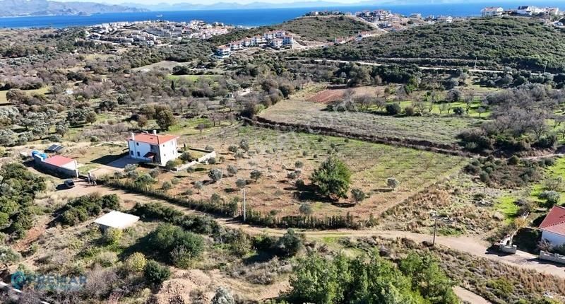 Premar Datça Merkez'e Çok Yakın 11 Dönüm İçinde Çiftlik Evi