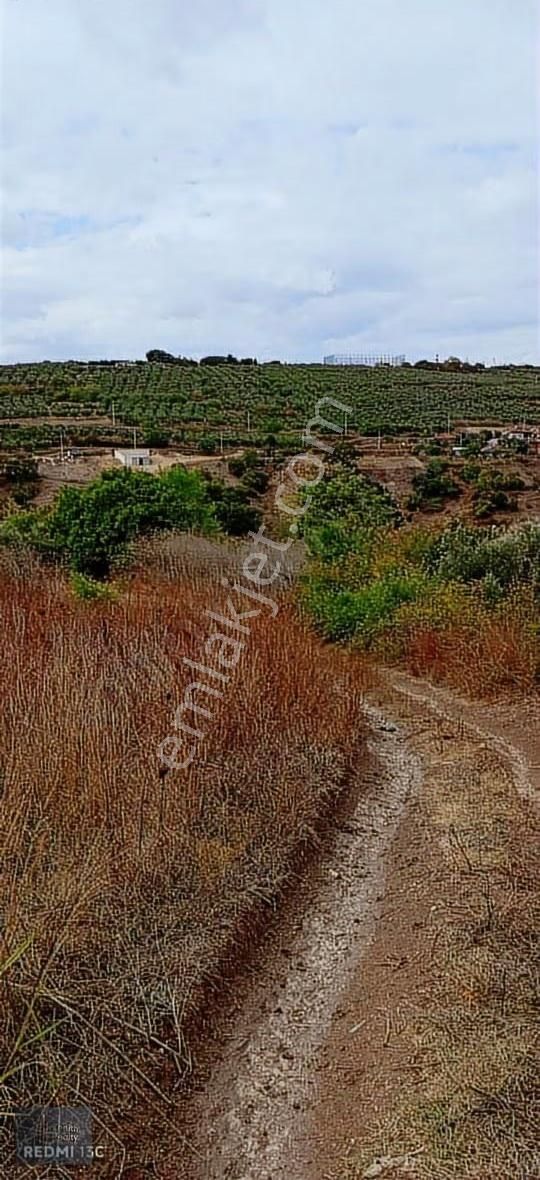 Mudanya Hançerli Köyünde 1950 M2 Satılık Arazi - Görsel 9