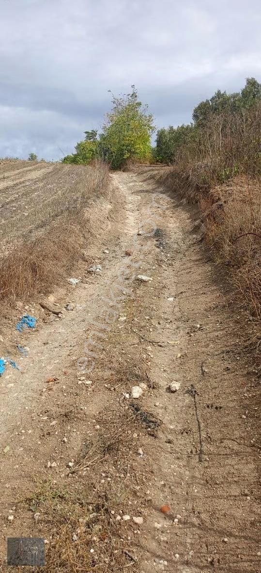 Mudanya Hançerli Köyünde 1950 M2 Satılık Arazi - Görsel 7