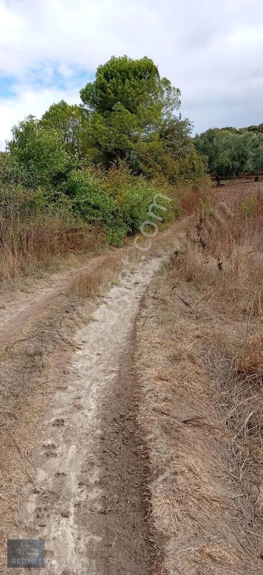 Mudanya Hançerli Köyünde 1950 M2 Satılık Arazi - Görsel 32