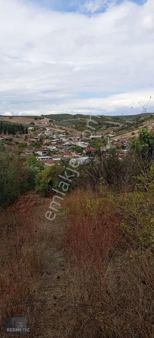 Mudanya Hançerli Köyünde 1950 M2 Satılık Arazi - Görsel 23