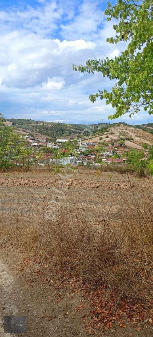 Mudanya Hançerli Köyünde 1950 M2 Satılık Arazi - Görsel 17