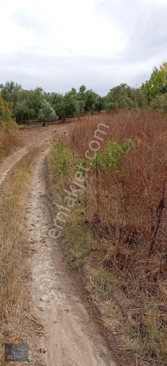 Mudanya Hançerli Köyünde 1950 M2 Satılık Arazi - Görsel 8