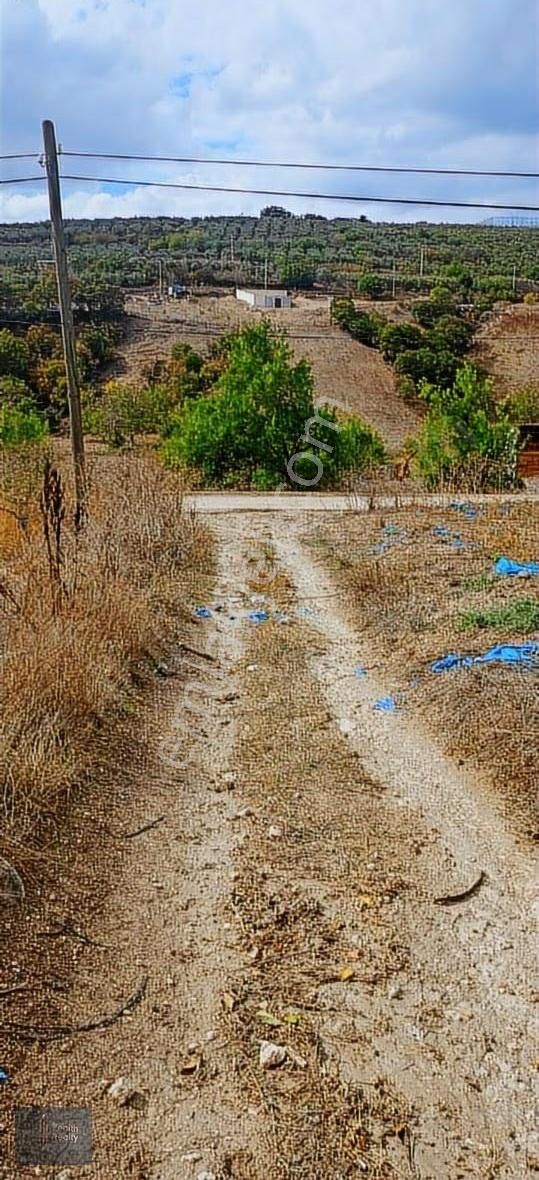Mudanya Hançerli Köyünde 1950 M2 Satılık Arazi - Görsel 27