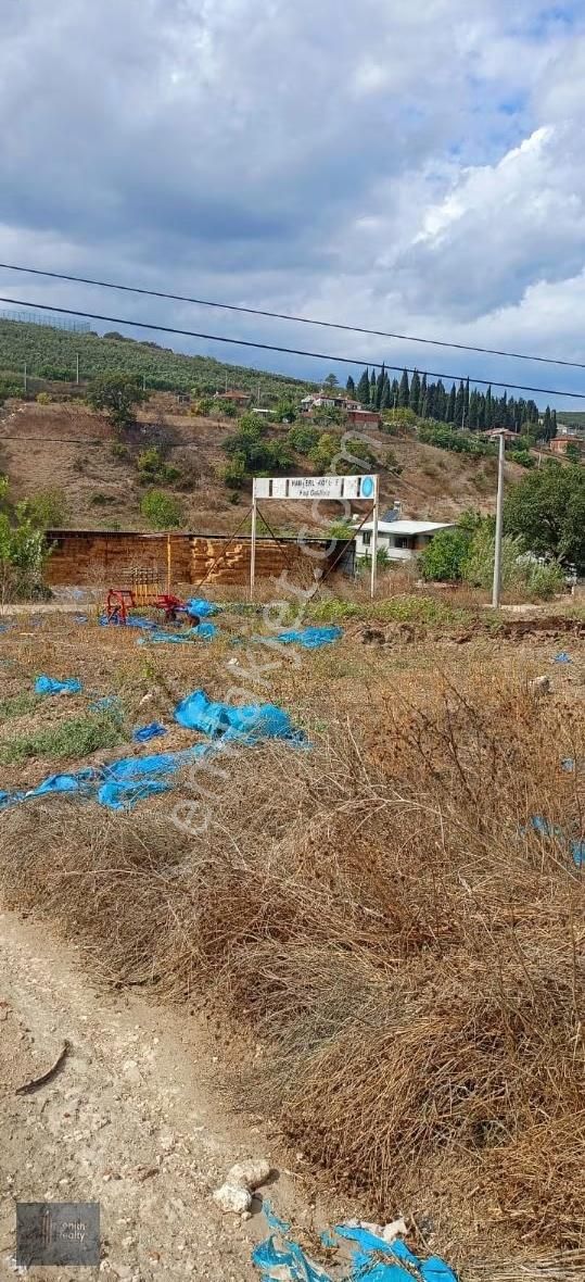 Mudanya Hançerli Köyünde 1950 M2 Satılık Arazi - Görsel 3