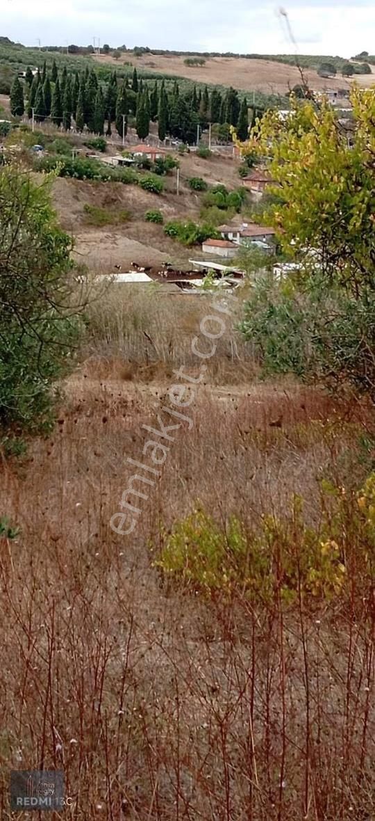 Mudanya Hançerli Köyünde 1950 M2 Satılık Arazi - Görsel 30