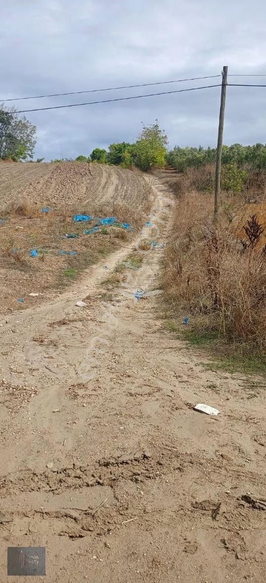 Mudanya Hançerli Köyünde 1950 M2 Satılık Arazi - Görsel 26