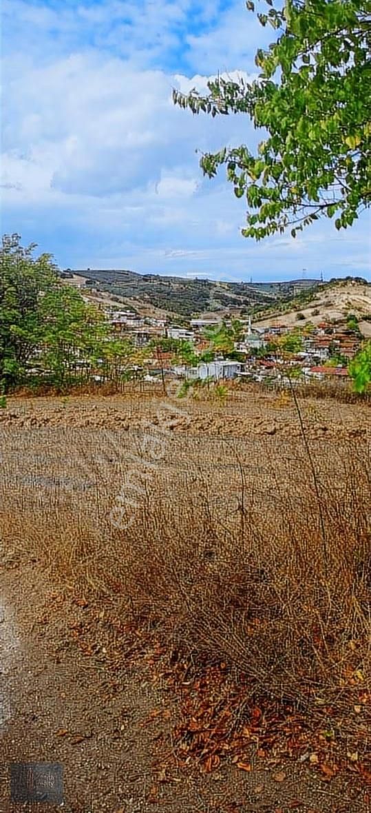 Mudanya Hançerli Köyünde 1950 M2 Satılık Arazi