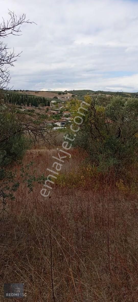 Mudanya Hançerli Köyünde 1950 M2 Satılık Arazi - Görsel 33
