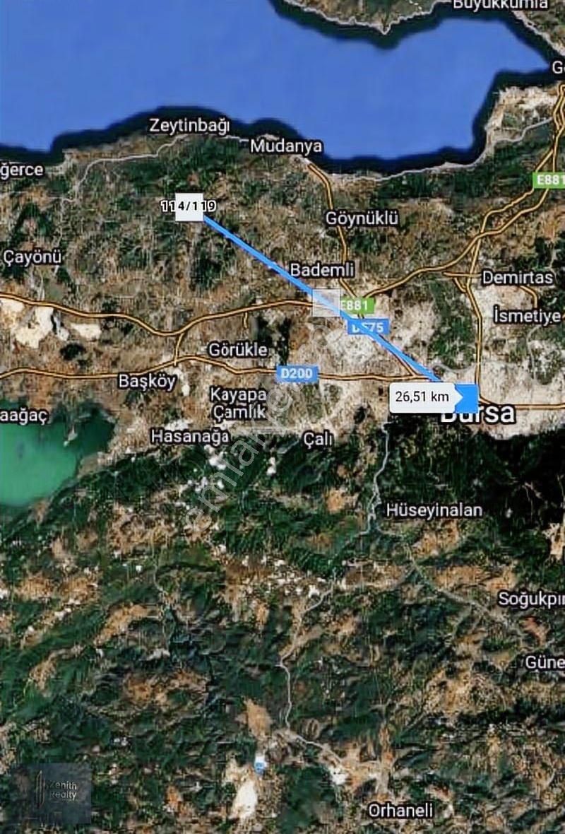 Mudanya Mirzaoba Mahallesinde 1105m2 Satılık Zeytinlik - Görsel 4