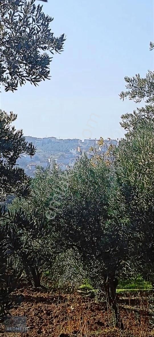 Mudanya Mirzaoba Mahallesinde Müstakil Parsel Fırsat Arazi