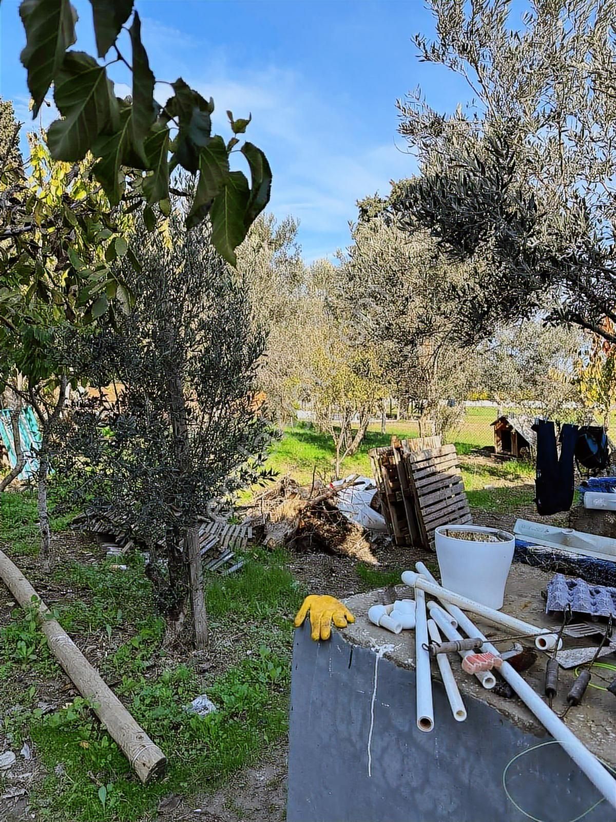 Kuşçularda Merkezde Satılık Müstakil Ev - Görsel 5