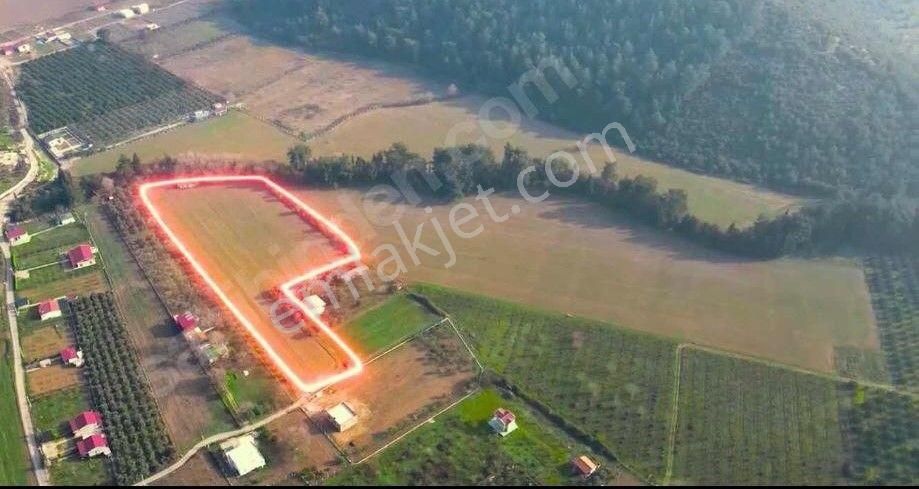 Turpa Otuzbeş'ten Eşsiz Güzellikte Eksiksiz Tek Tapu Arsa - Görsel 2